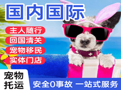 连城冠豸山机场物流国际宠物托运 【国